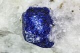 Lazurite and Pyrite in Marble Matrix - Afghanistan #111768-1